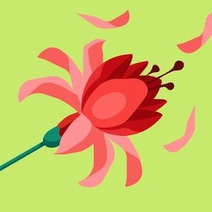 Meet your Posher, Tina